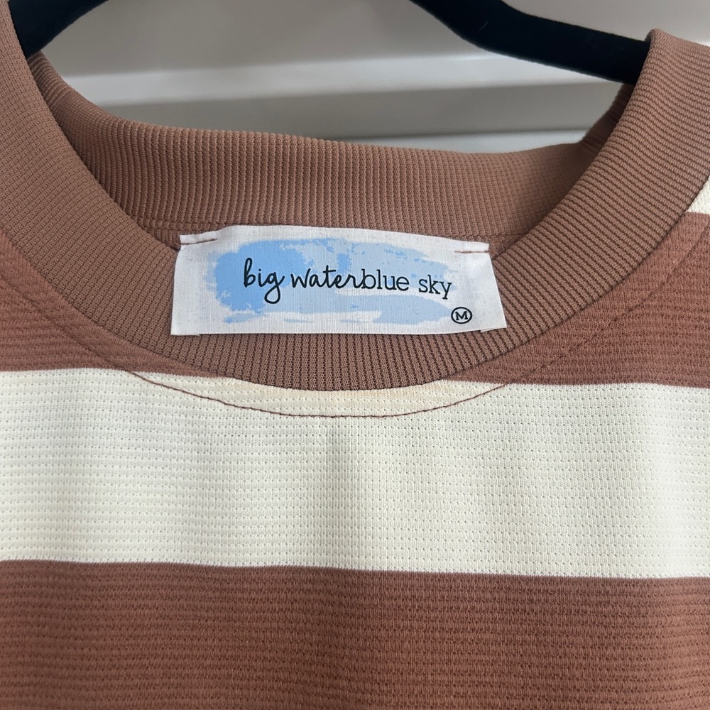 Lizard Thicket Brown and Cream Striped Dress